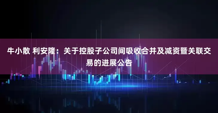 牛小散 利安隆：关于控股子公司间吸收合并及减资暨关联交易的进展公告